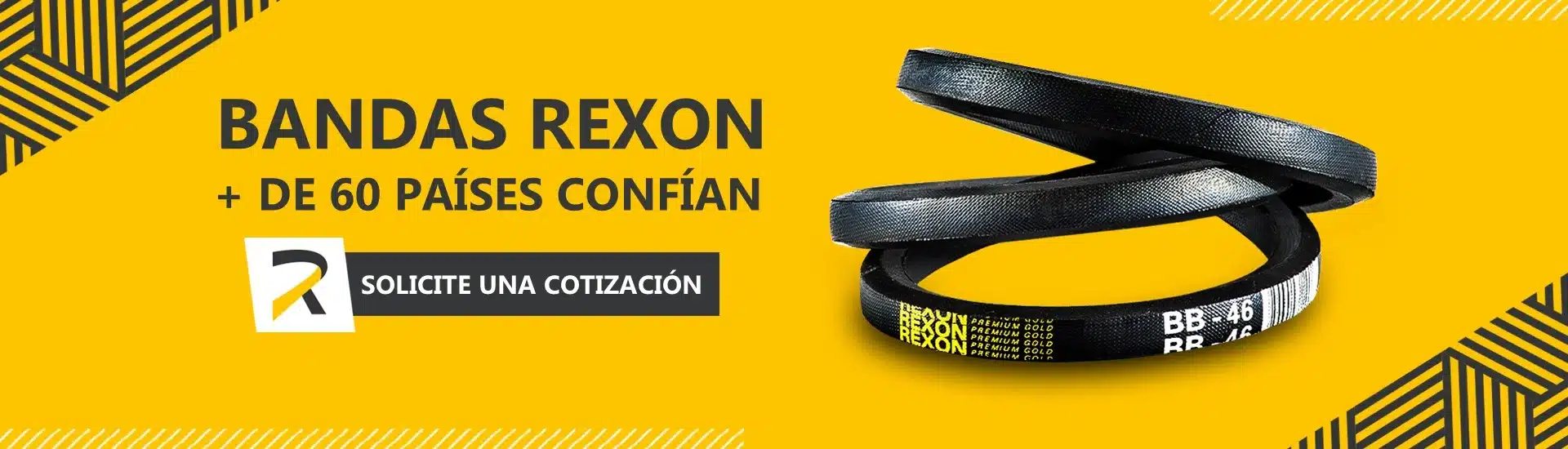 Cuándo cambiar las correas de transmisión